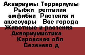 Аквариумы.Террариумы.Рыбки, рептилии, амфибии. Растения и аксесуары - Все города Животные и растения » Аквариумистика   . Кировская обл.,Сезенево д.